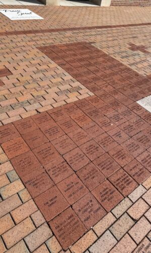 Bricks